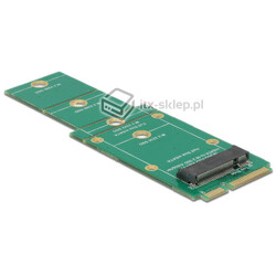 Adapter konwerter M.2 NGFF - mSATA do dysków M.2 NGFF Delock 62592