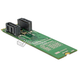Adapter konwerter M.2 - 2x SATA 7pin z funkcją RAID 0,1 Delock 62961