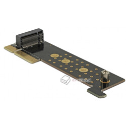 Adapter riser PCI Express x4 - 1x NVMe M.2 Key M Serwer 1U Delock 89929