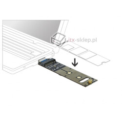 Adapter do dysku M.2 NVMe na USB 3.1 Delock 64069