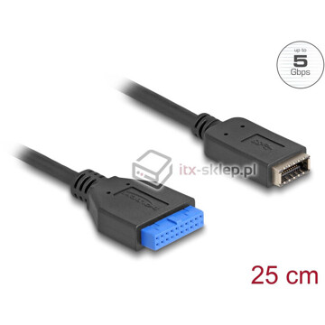 Kabel USB 3.2 żeński 19pin - USB 3.2 klucz A Delock 65100