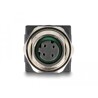 Adapter sieciowy M12 4pin D-coded żeński do RJ-45 żeński prosty Delock 60060