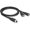 Delock Kabel M12 z 8-pinowym żeńskim kodowaniem A na 2 x USB 2.0 Typ-A żeński 1 m czarny