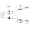 Kabel szeregowy M12 8pin - 2x USB 2.0 5m Delock 60652