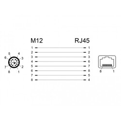Adapter sieciowy M12 8pin X-coded męski do RJ-45 żeński kątowy Delock 66565