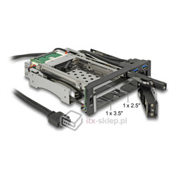 Kieszeń do zatoki 5,25" do dysku 2,5" i 3,5" SATA + 2xUSB 3.0 Delock 47209