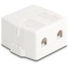Keystone Surface Mounted Box 2-portowy z magnetycznym dnem biały Delock 85843