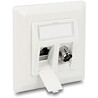 Gniazdo ścienne Keystone 2-portowe Delock 86202