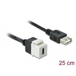 Moduł Keystone USB 2.0 C wtyk żeński do USB 2.0 A wtyk żeński z przewodem Delock 86391