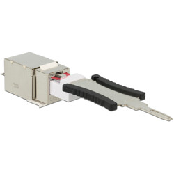 Moduł Keystone RJ45 Secure Cat.6 do LSA Delock 86404
