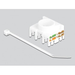Moduł Keystone RJ45 żeńskie do LSA Cat.6A 180° beznarzędziowy Delock 87034
