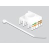 Moduł Keystone RJ45 żeńskie do LSA Cat.6A 180° beznarzędziowy Delock 87034