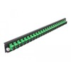 Panel frontowy 19&quot; 24-portowy SC Simplex zielony Delock 43352