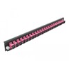 Panel frontowy 19&quot; 24-portowy SC Simplex fioletowy Delock 43355