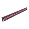 Panel frontowy 19" 24-portowy SC Simplex fioletowy Delock 43355