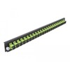 Panel frontowy 19&quot; 24-portowy SC Simplex limonkowy Delock 43356