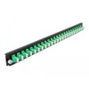 Panel frontowy 19&quot; 24-portowy LC Duplex zielony Delock 43358