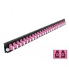 Panel frontowy 19&quot; 24-portowy LC Duplex fioletowy Delock 43361