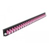 Panel frontowy 19&quot; 24-portowy LC Duplex fioletowy Delock 43361