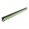 Panel frontowy 19&quot; 24-portowy LC Duplex limonkowy Delock 43362