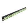 Panel frontowy 19" 24-portowy LC Duplex limonkowy Delock 43362