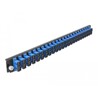 Panel frontowy 19" 24-portowy SC Duplex niebieski Delock 43363