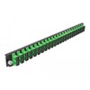 Panel frontowy 19&quot; 24-portowy SC Duplex zielony Delock 43364