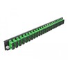 Panel frontowy 19" 24-portowy SC Duplex zielony Delock 43364