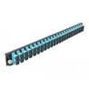 Panel frontowy 19" 24-portowy SC Duplex morski Delock 43366