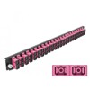 Panel frontowy 19&quot; 24-portowy SC Duplex fioletowy Delock 43367