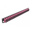 Panel frontowy 19&quot; 24-portowy SC Duplex fioletowy Delock 43367