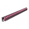 Panel frontowy 19" 24-portowy SC Duplex fioletowy Delock 43367