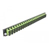 Panel frontowy 19" 24-portowy SC Duplex limonkowy Delock 43368