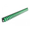 Panel frontowy 19" 24-portowy LC Quad zielony Delock 43370