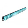 Panel frontowy 19" 24-portowy LC Quad morski Delock 43372