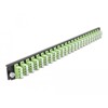Panel frontowy 19&quot; 24-portowy LC Quad limonkowy Delock 43374