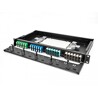 Światłowodowy panel adapterów SC Simplex OM1 / OM2 12-portowy beżowy Delock 66927
