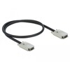 Kabel SAS SFF-8470  SAS SFF-8470 1 m Delock 83060