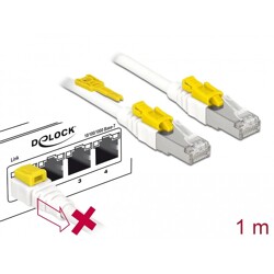 Kabel sieciowy RJ45 Secure Cat.6A 1m Delock 85331